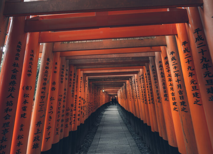 Dissolve D2312 46 526 master