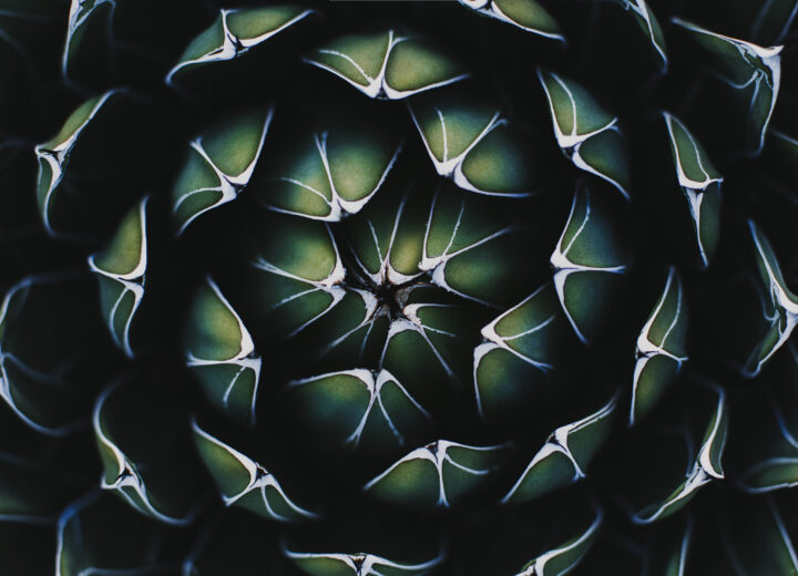 Dissolve D2312 76 959 master