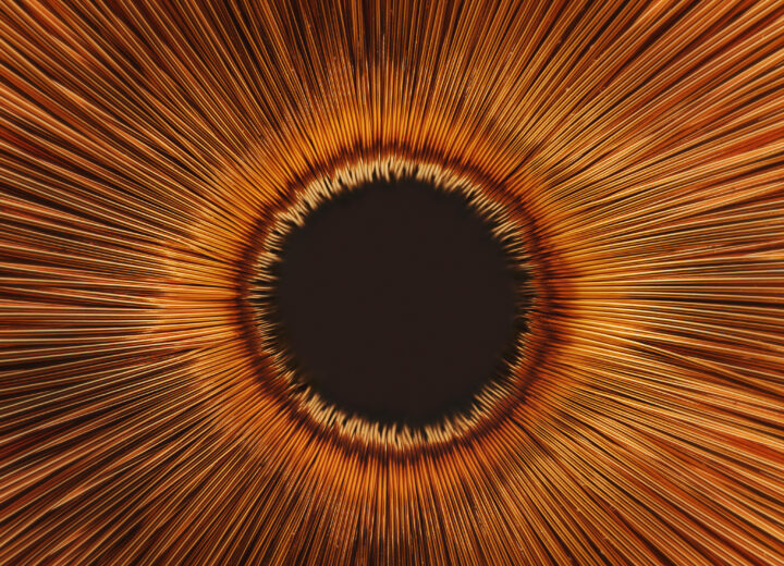 Dissolve D9 8 133 master