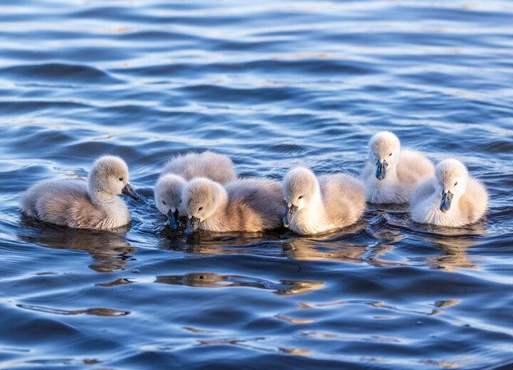 Pete godfrey l T Gh A He9c DY unsplash