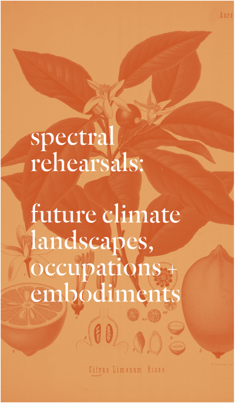 Allie Wist Toolkit Cover Thumb