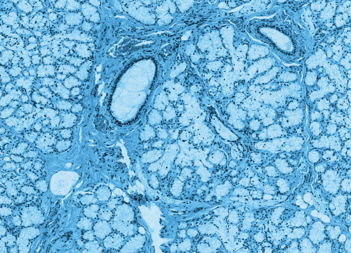 Blue microscopic texture