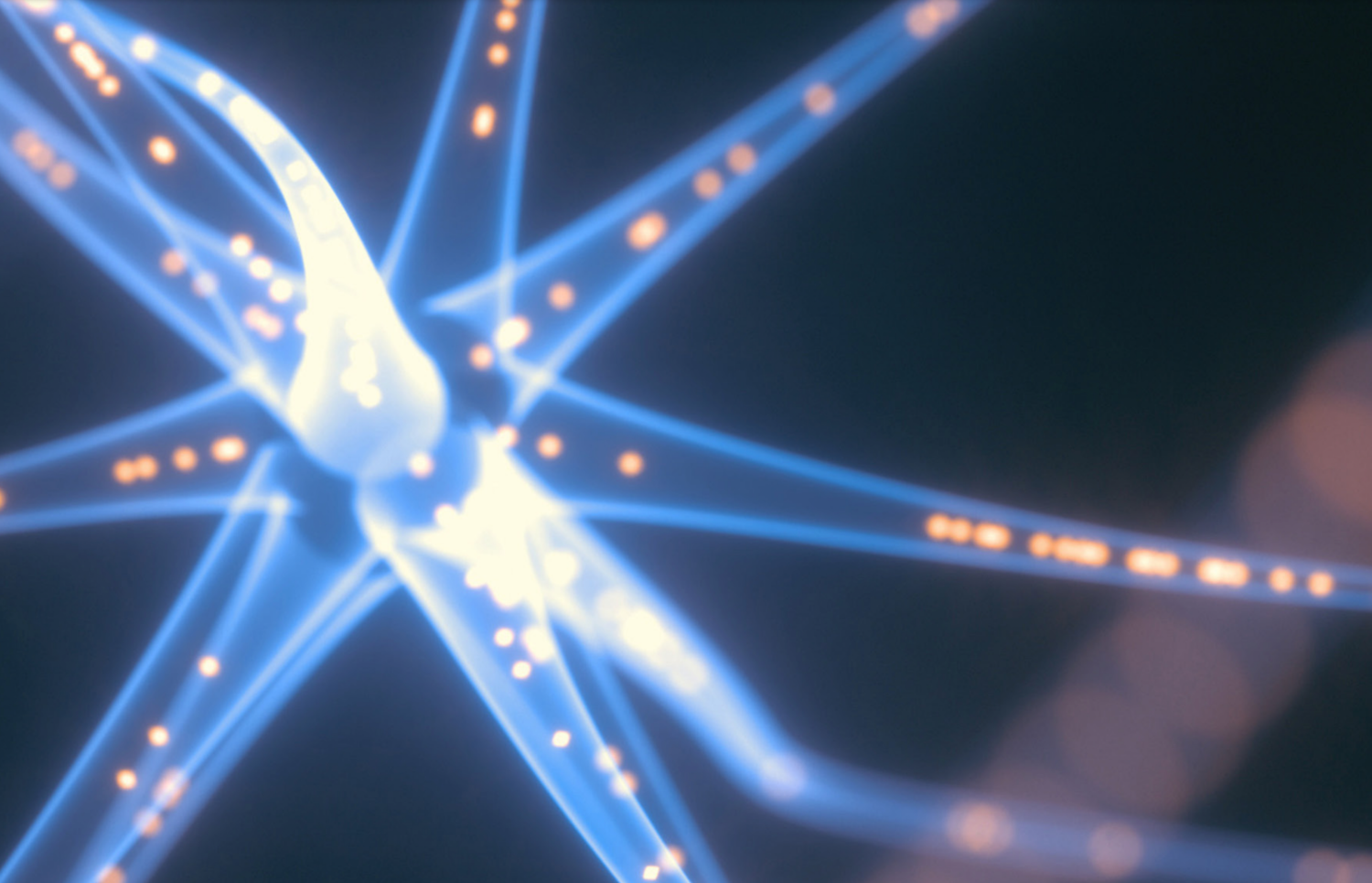 Cognitive Immunity cover