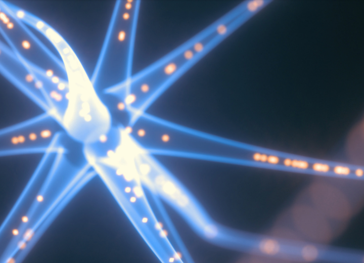 Cognitive Immunity cover