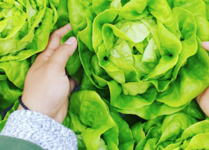 Eating the climate crisis web banner 01