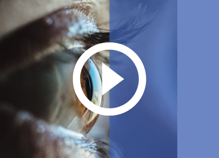 Media Archives Template 7