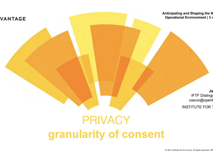 NOE 3 Privacy cover thumbnail