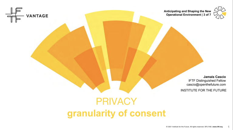 NOE 3 Privacy cover thumbnail