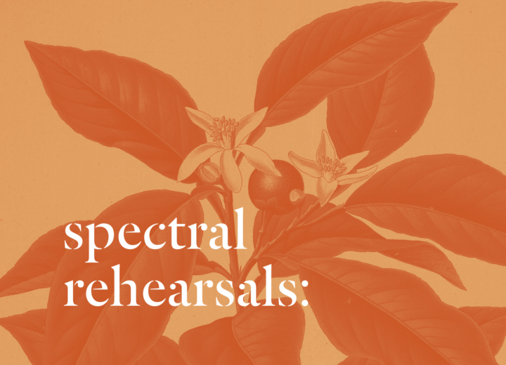 Screen Shot 2023 07 13 at 12 18 33 PM