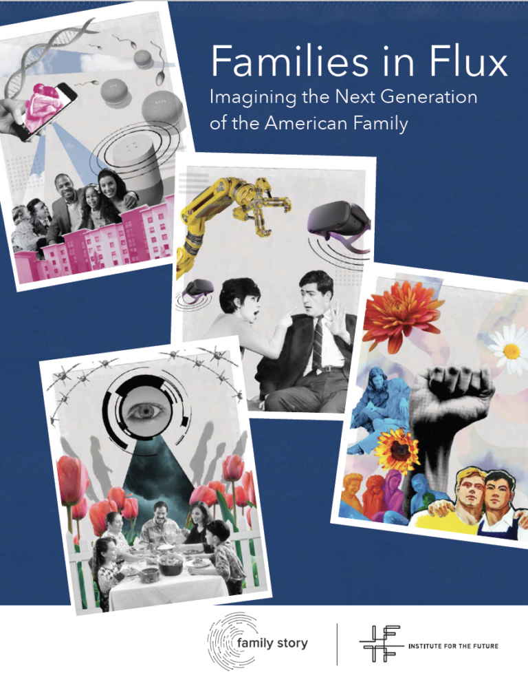 SR 2113 Future of Families Families in Flux cover